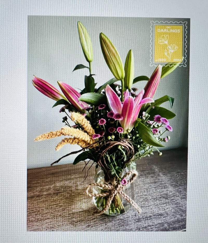 1 Magnolia Lane / Delhi NCR