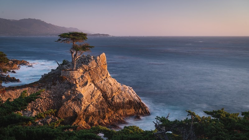 17 Mile Drive Place mentioned in saved reels