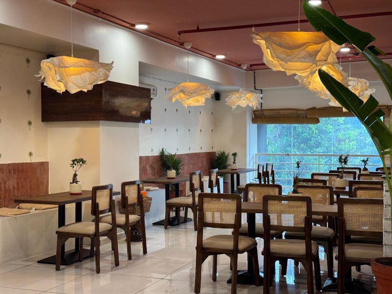 Aayu- The South Cafe / Ahmedabad Place mentioned in saved reels