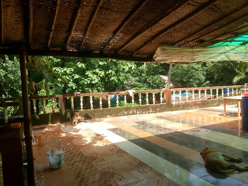 Agonda Beach / South Goa Place mentioned in saved reels