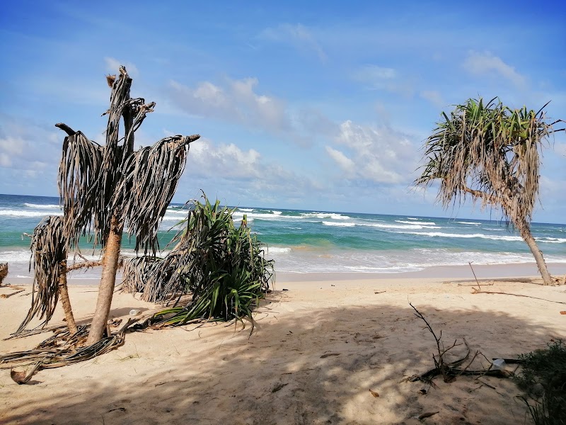 Ahangama / Sri Lanka Place mentioned in saved reels