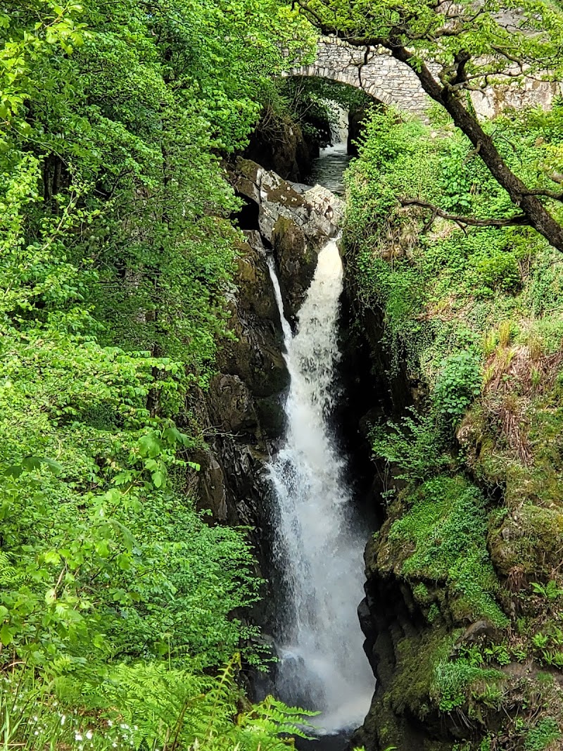 Aira Force / Lake District Place mentioned in saved reels