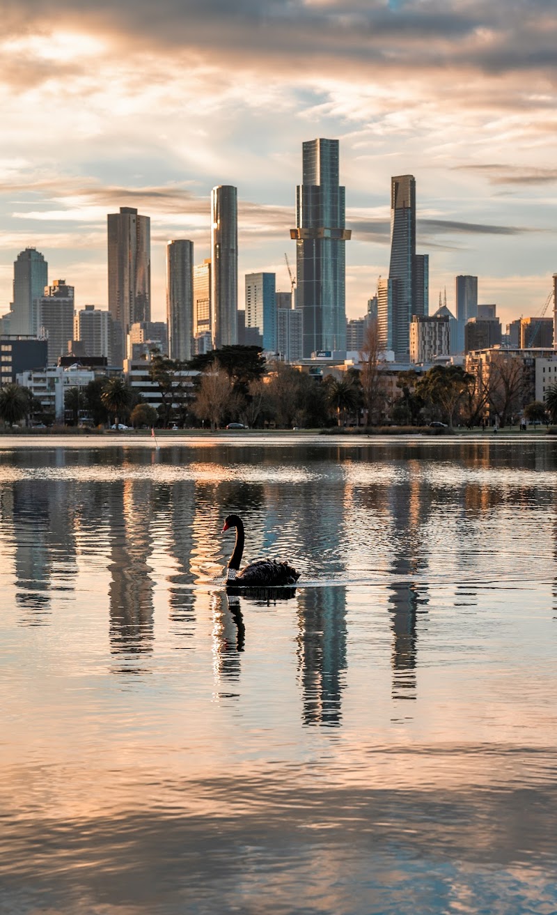 Albert Park / Melbourne Place mentioned in saved reels