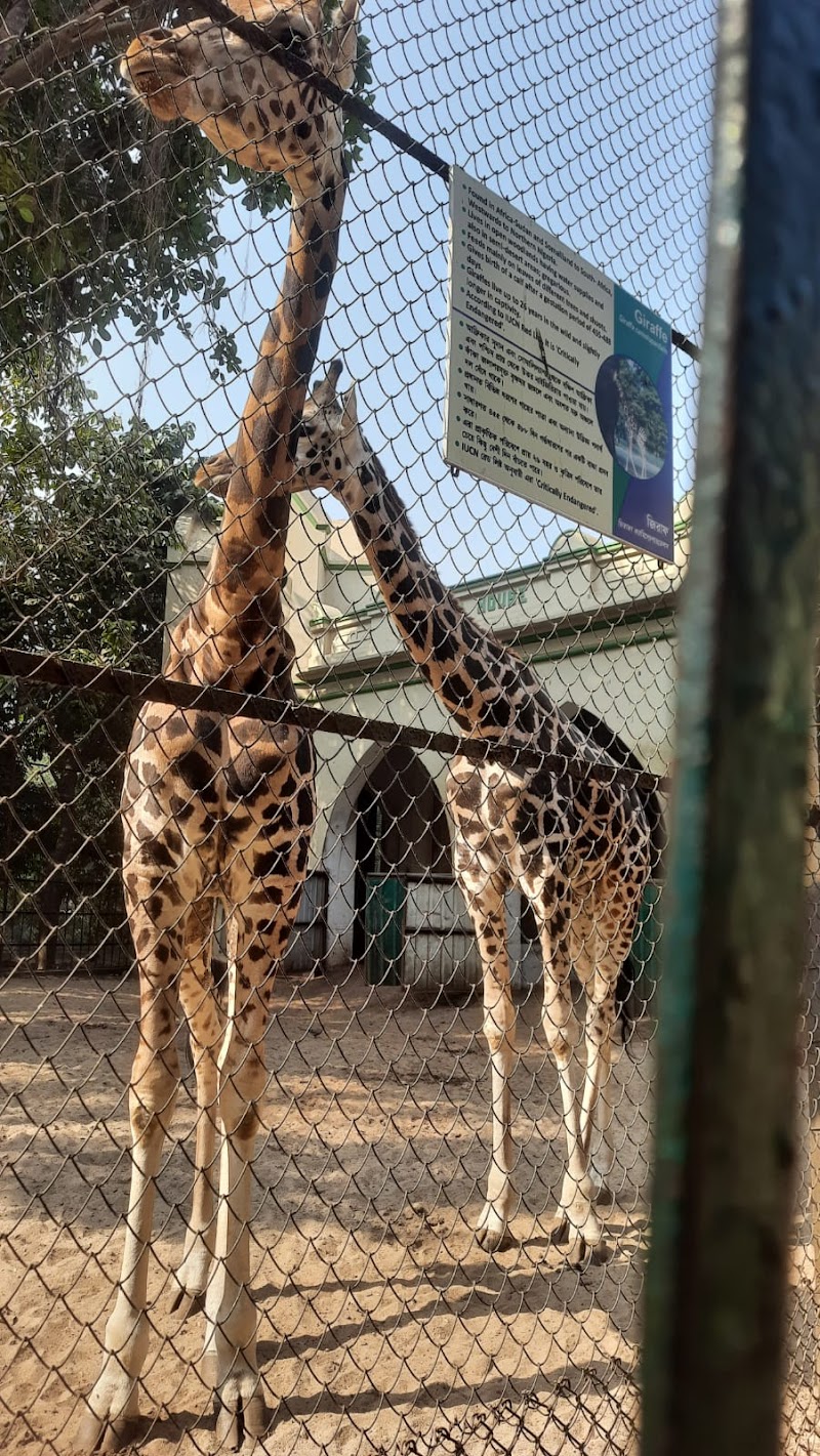 Alipore Zoo / Kolkata Place mentioned in saved reels