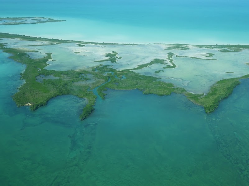 Ambergris Caye / Belize Place mentioned in saved reels