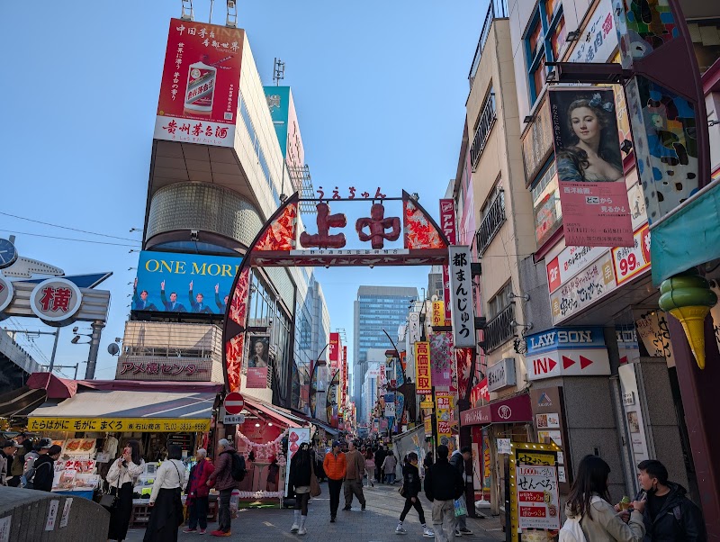 Ameya-Yokocho Market / Ueno