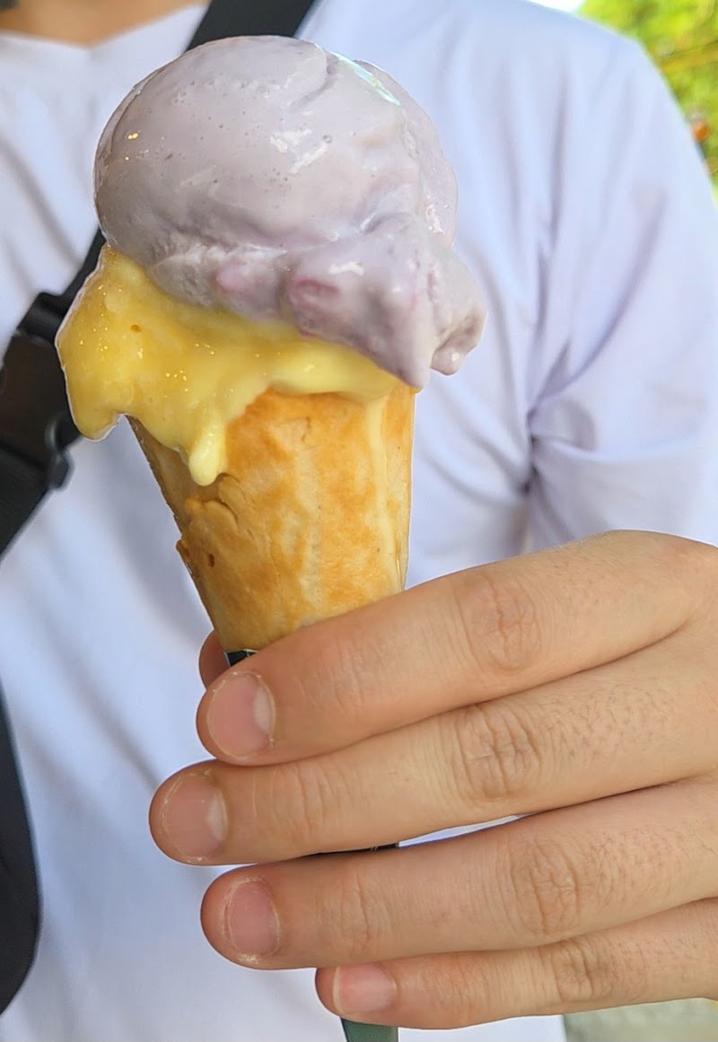 Amore Gelato & Bakery / Hoi An Place mentioned in saved reels