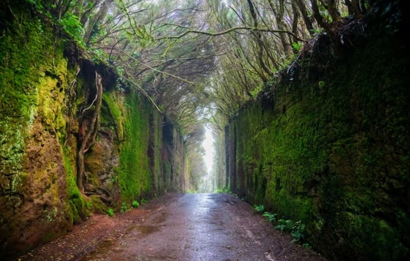 Anaga National Park / Spain