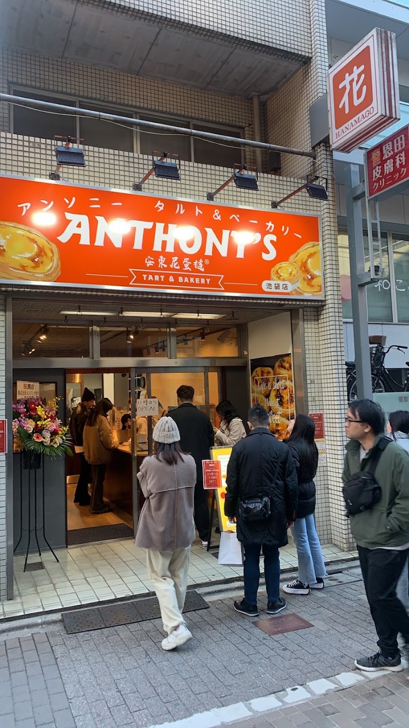 Anthony's / Ikebukuro