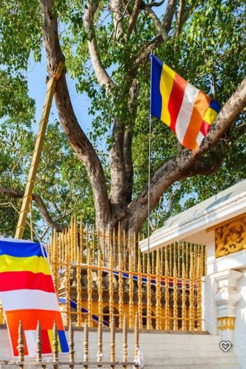 Anuradhapura Temple Place mentioned in saved reels