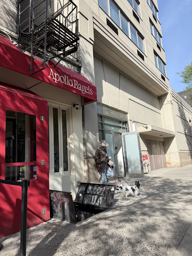 Apollo bagels / New York
