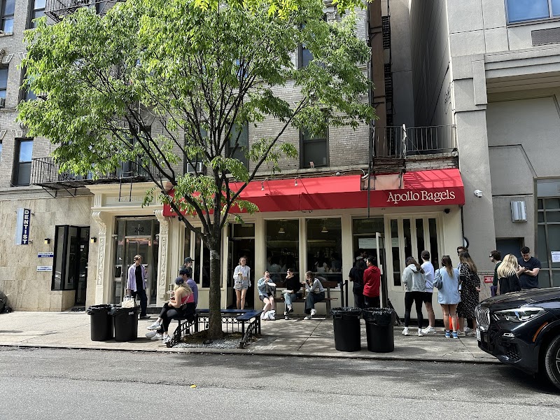 Apollo Bagels