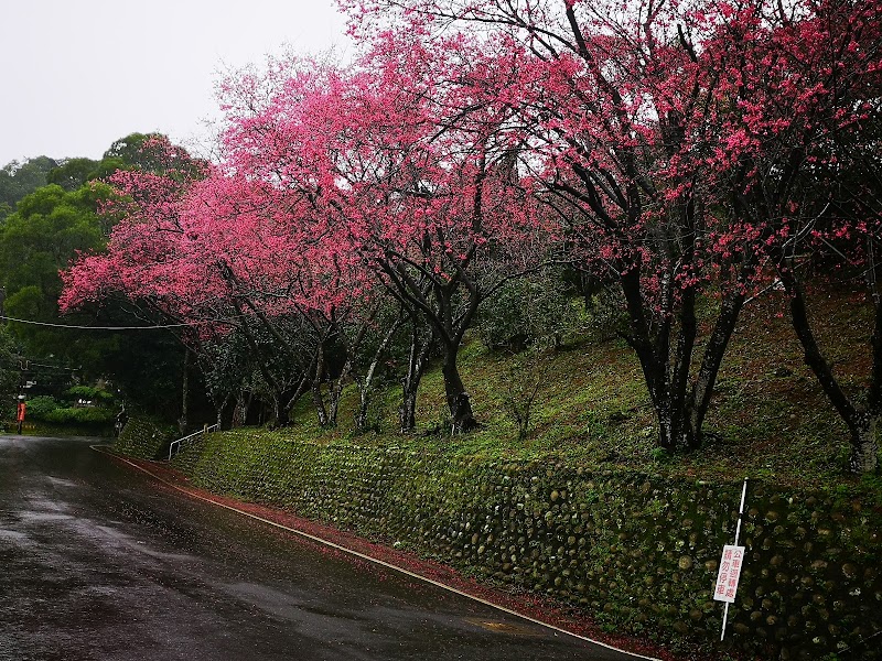 Apricot / Taipei Place mentioned in saved reels