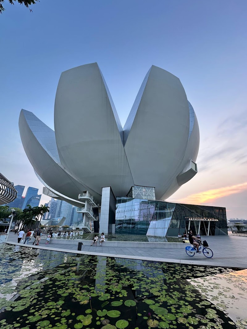 ArtScience Museum / Singapore