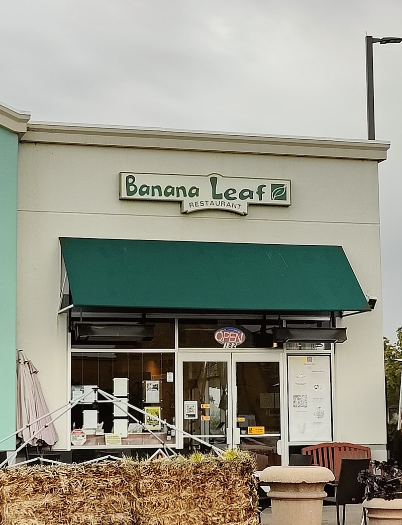 Banana Leaf / Multiple Locations Place mentioned in saved reels