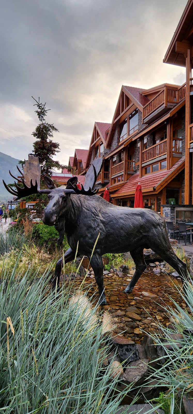 Banff / Canada Place mentioned in saved reels