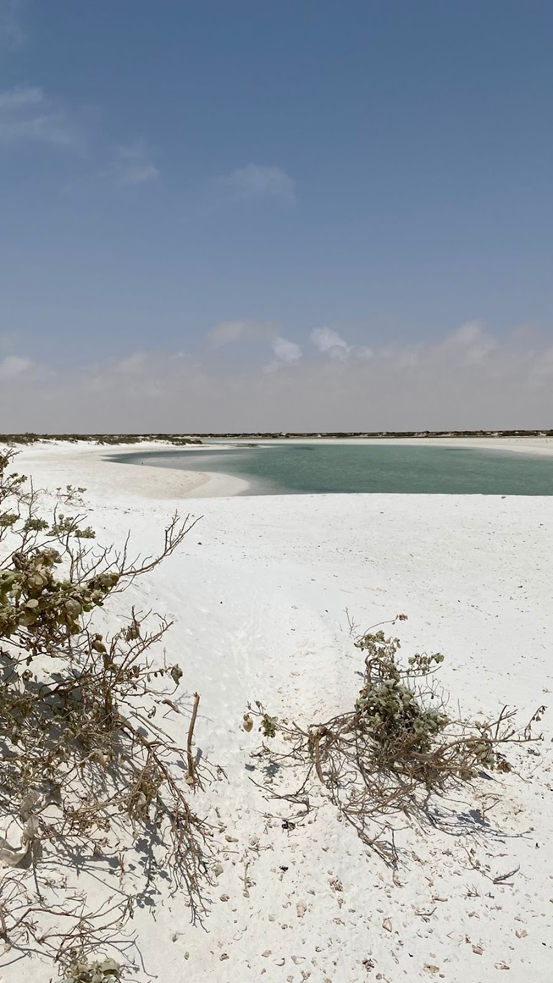 Bar Al Hikman / Oman