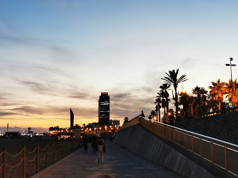 Barceloneta / Barcelona