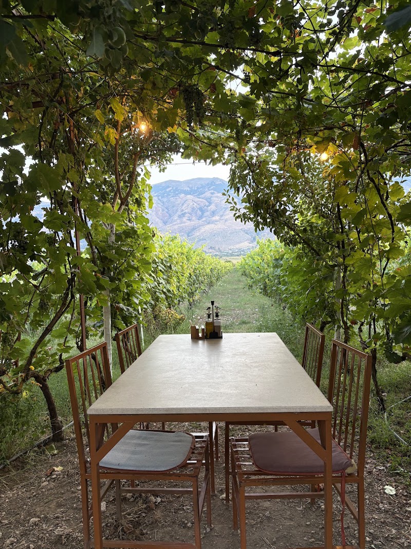 Barrels MS / Gjirokaster