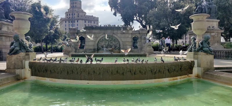 Barri Gòtic / Barcelona Place mentioned in saved reels