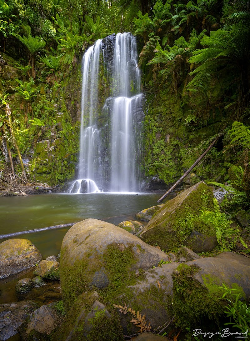 Beauchamp Falls / Great Ocean Road
