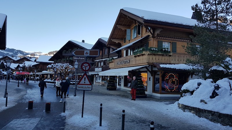 Bernese Alps / Switzerland
