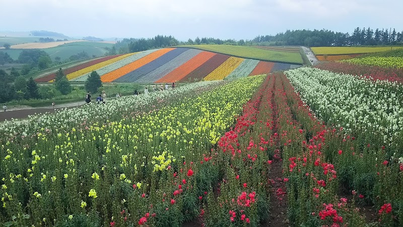 Biei / Japan Place mentioned in saved reels