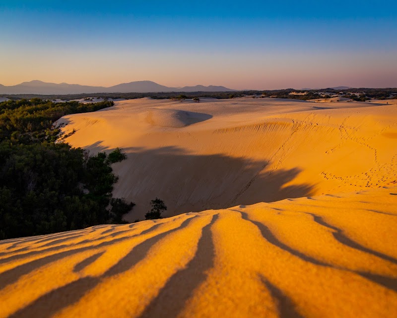 Big Drift / Wilsons Prom