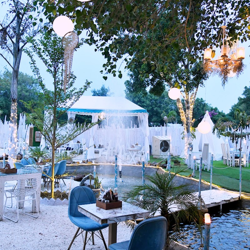 Big Tree Cafe Place mentioned in saved reels