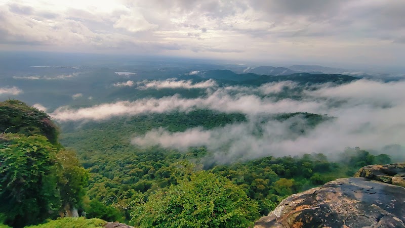 Biligiri Hills / Karnataka