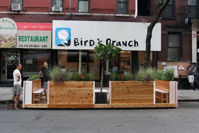 Bird and Branch / NYC