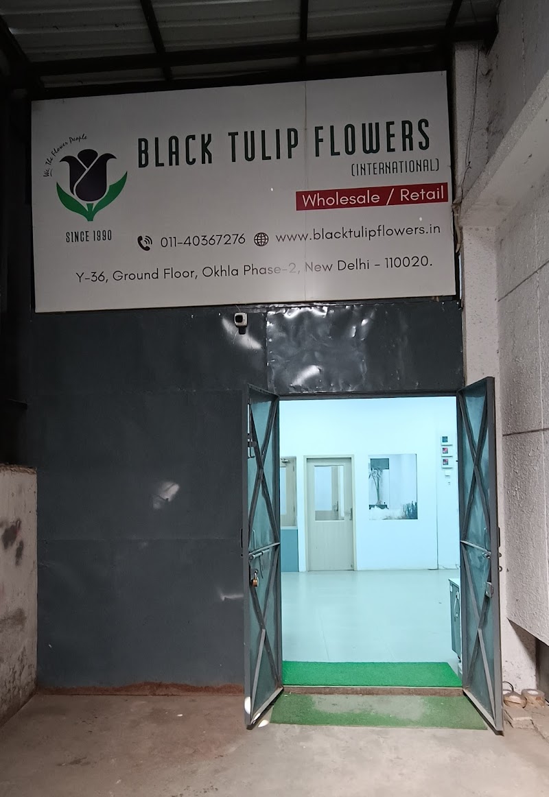 Black Tulip Flowers / Delhi NCR