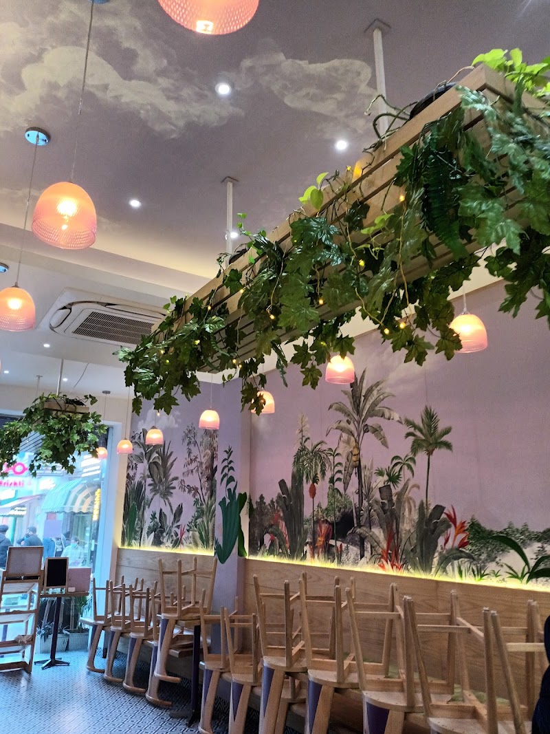 Bloom Cafe & Cakery / Khan Market