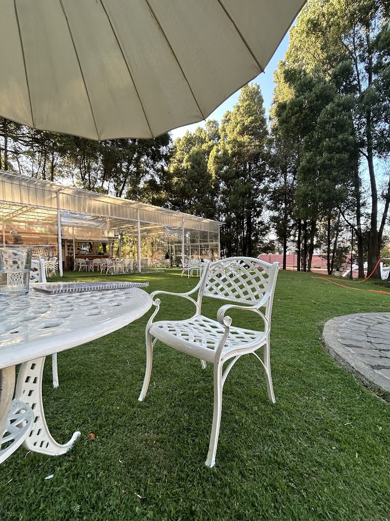 Blooming garden cafe / Ooty Place mentioned in saved reels