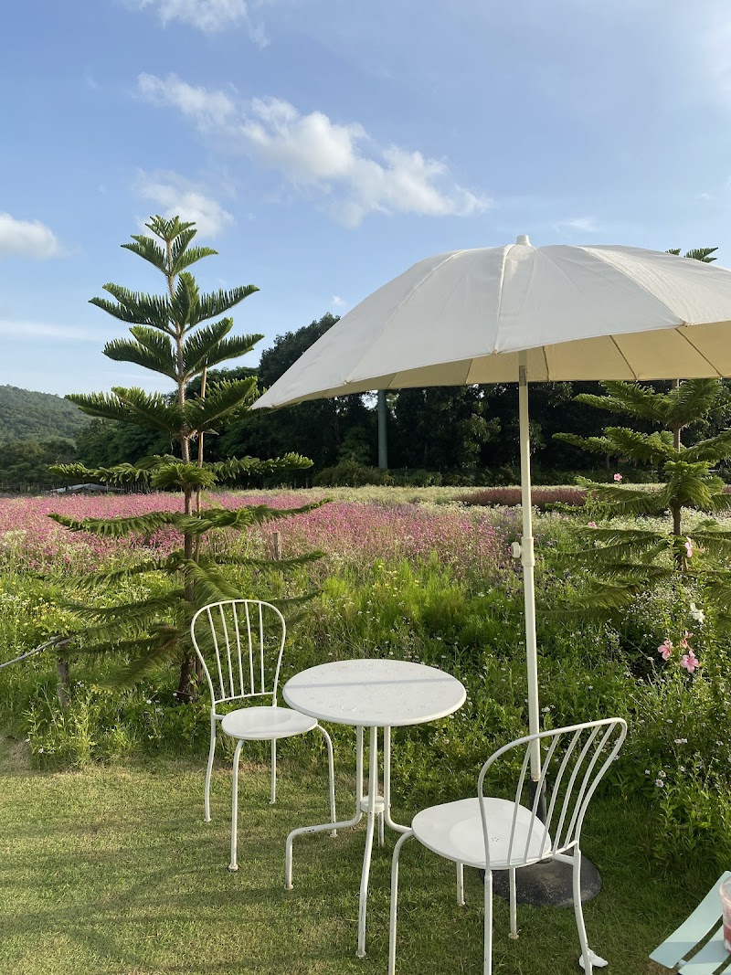 blossom bloom / Khao Yai Place mentioned in saved reels