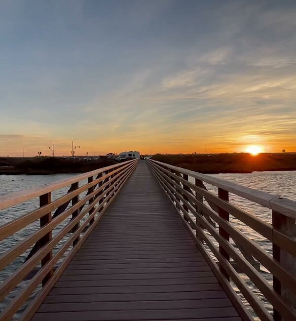 Bolsa Chica Wetlands / Huntington Beach