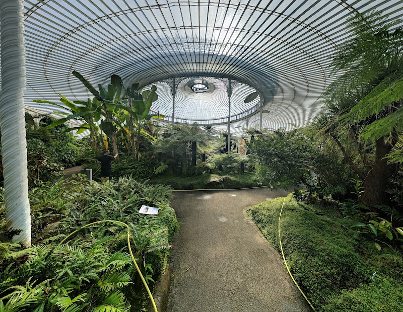 Botanic Gardens / Glasgow Place mentioned in saved reels
