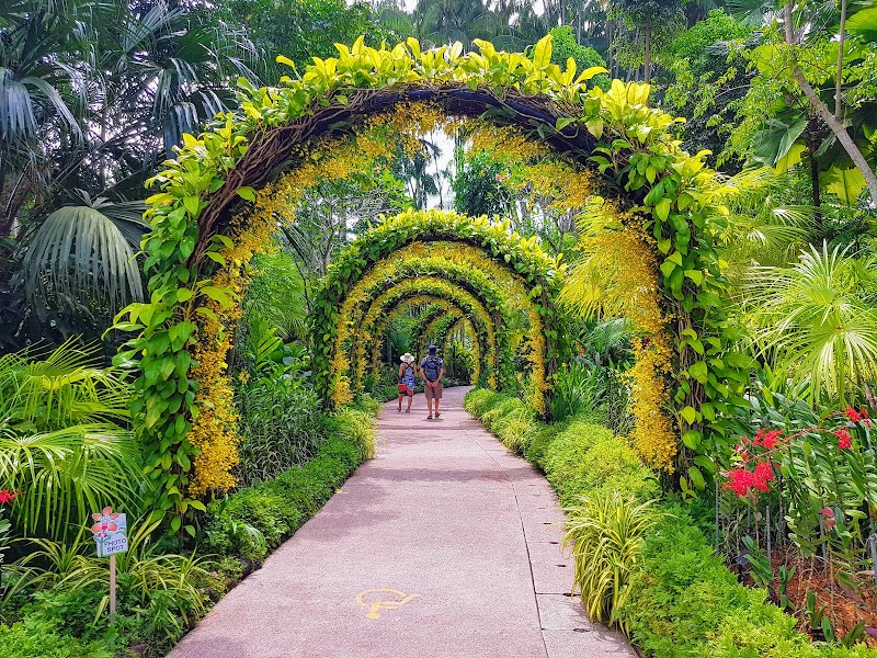 Botanic Gardens / Singapore