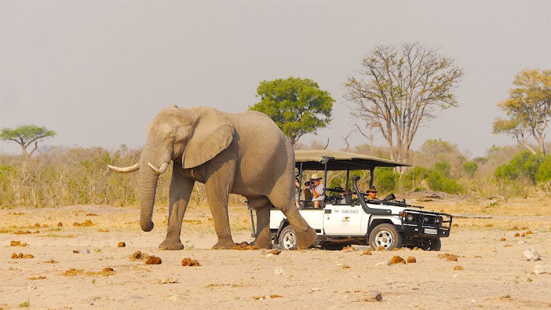 Botswana Place mentioned in saved reels