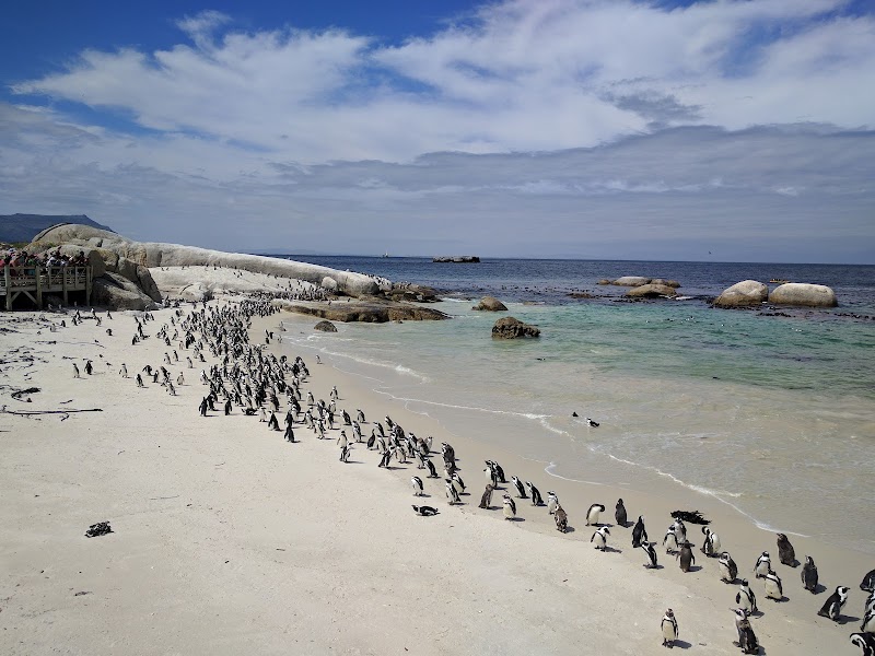 Boulders Beach / Cape Town