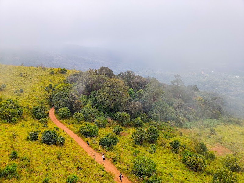 Brahmagiri Hills / Karnataka