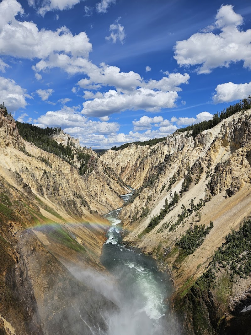 Brink of Lower Falls / Wyoming