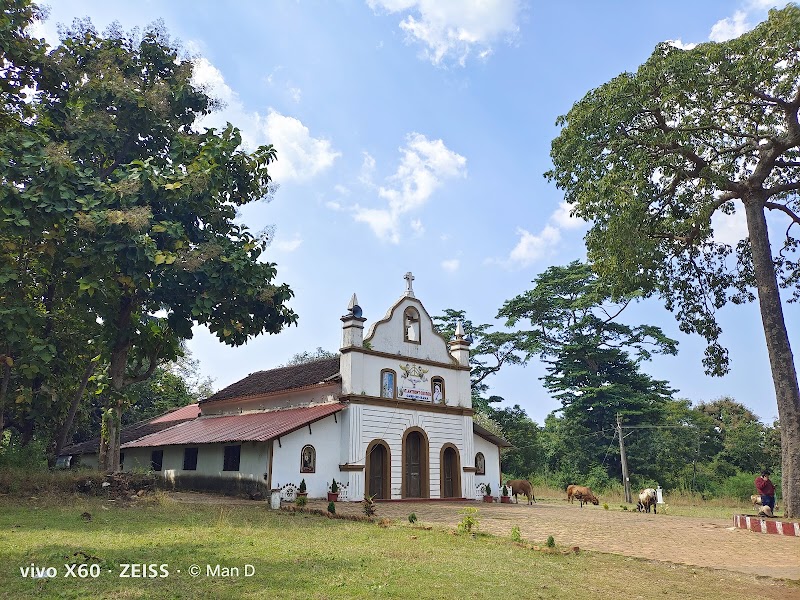 Cabo de Rama Fort / Goa Place mentioned in saved reels