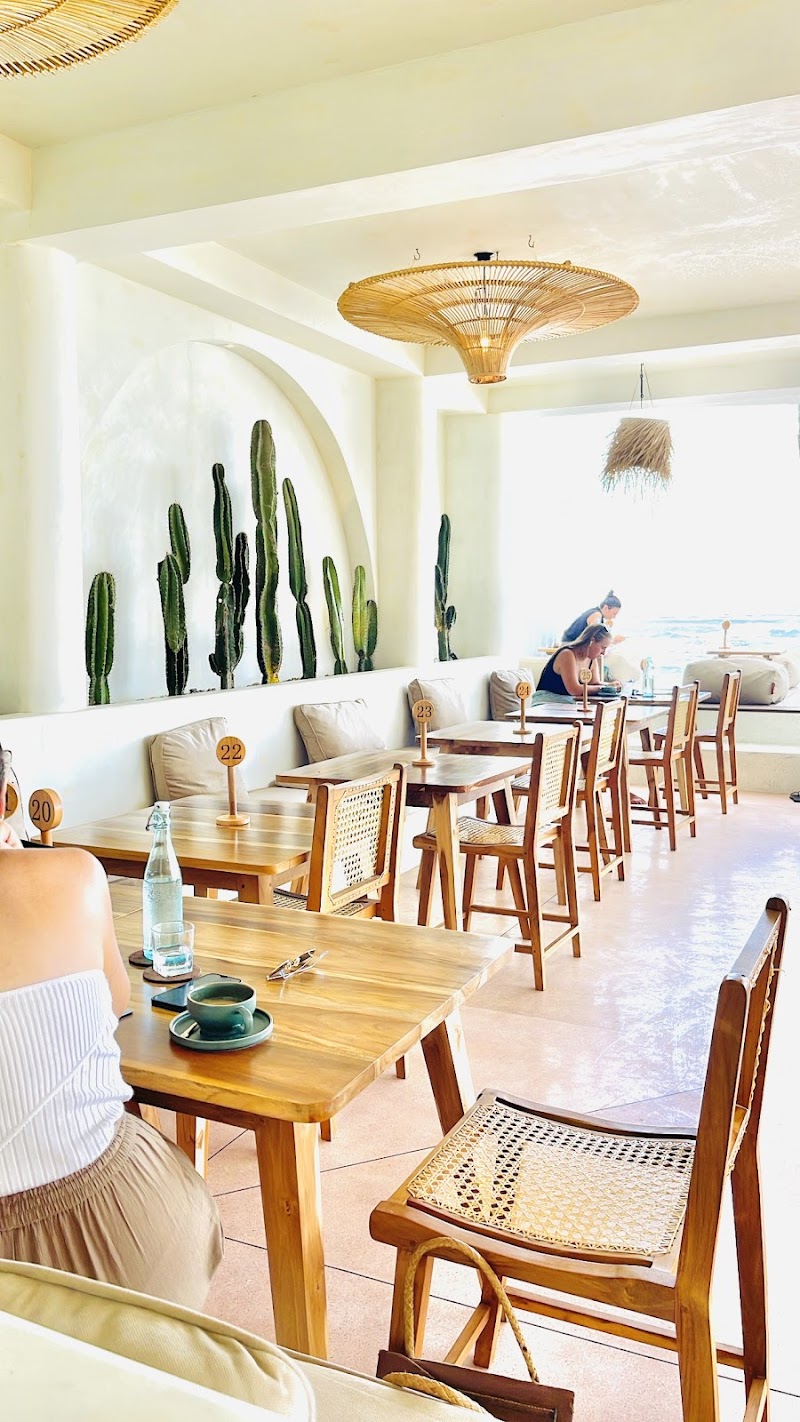 Cactus Cafe / Ahangama