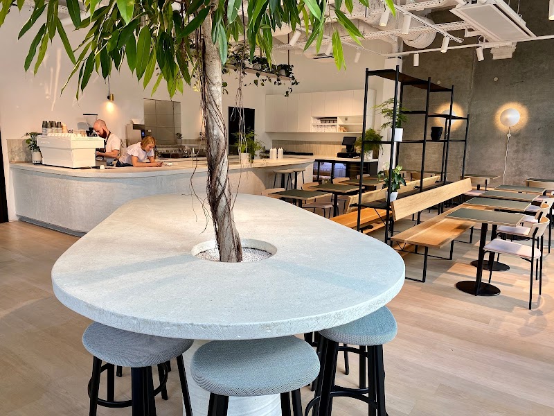 Cadence / Copenhagen Place mentioned in saved reels