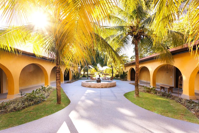 Caiman Pantanal / Brazil