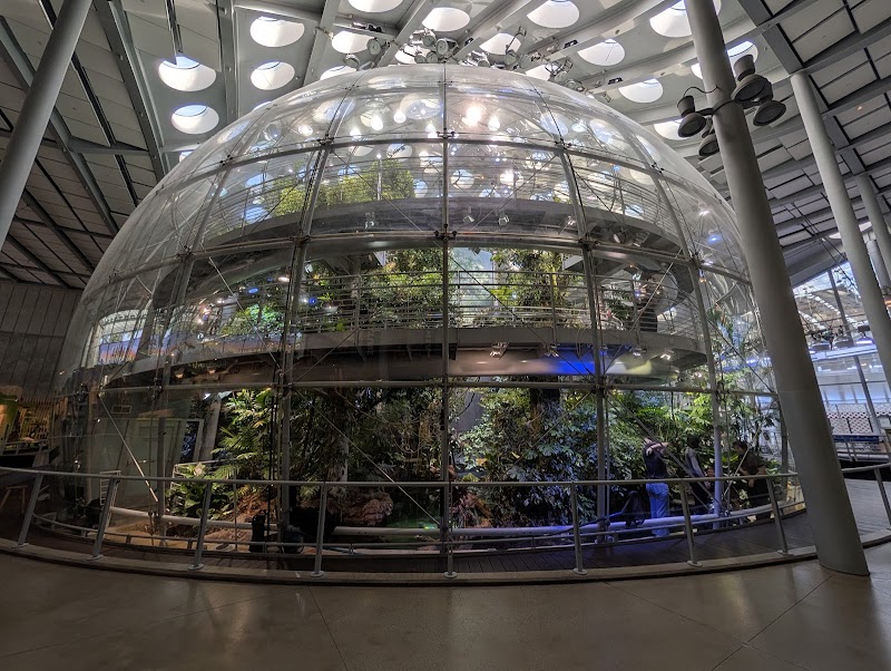 California Academy of Sciences / San Francisco