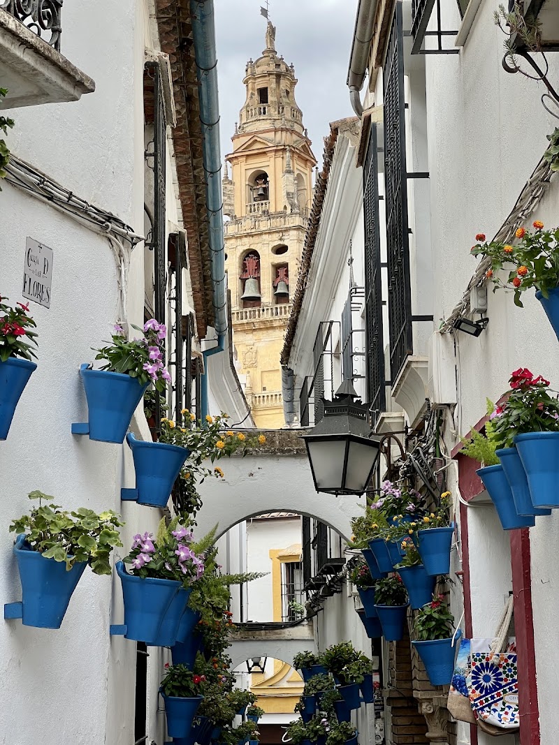 Calleja de las Flores / Cordoba