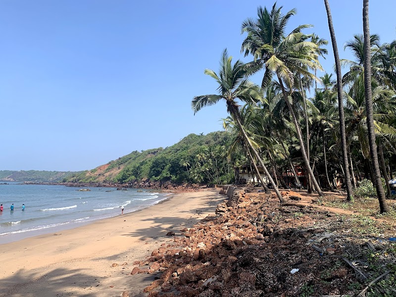 Canaguinim Beach / South Goa Place mentioned in saved reels