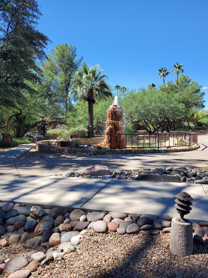 Canyon Ranch Tucson / Tucson Place mentioned in saved reels